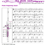 mini flute fingering chart